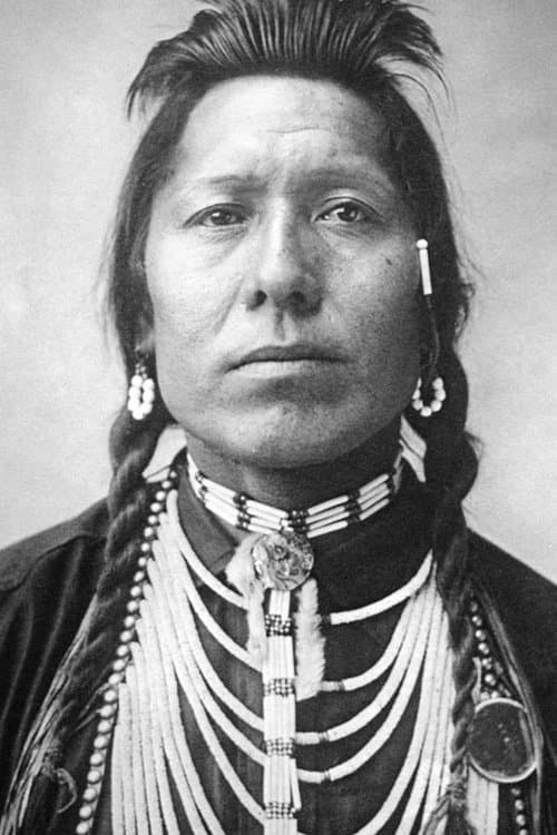 Chief Thundercloud Profile