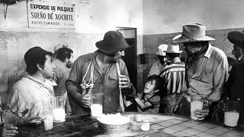 The Bricklayers